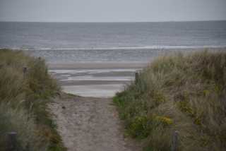 DSC_7503.JPG