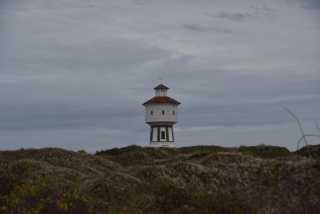 DSC_7544.JPG