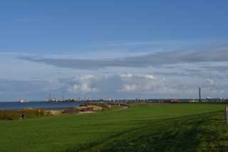 DSC_7631.JPG