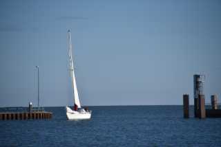 DSC_7690.JPG