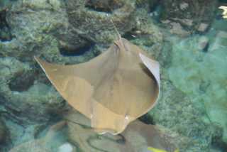 DSC_7948.JPG