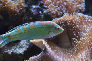 DSC_7969.JPG