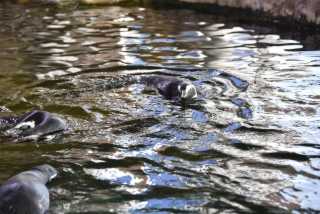 DSC_7993.JPG