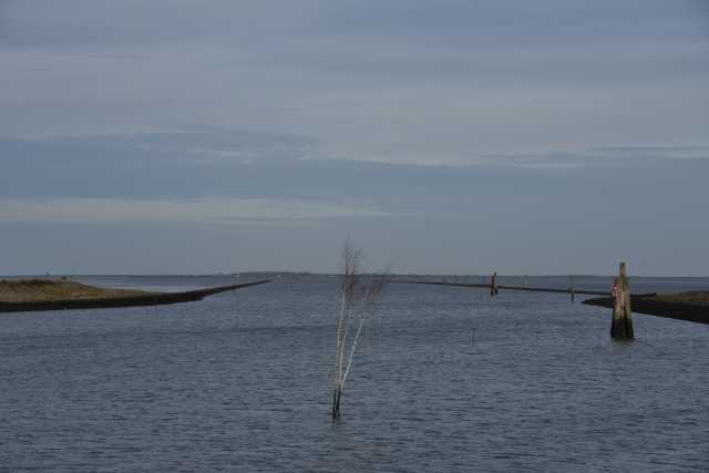 DSC_7398.JPG