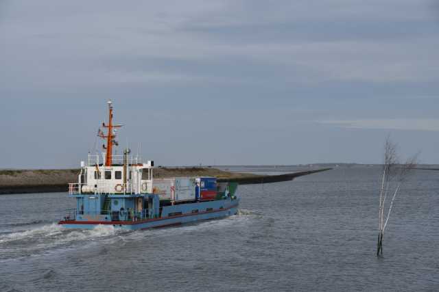 DSC_7400.JPG