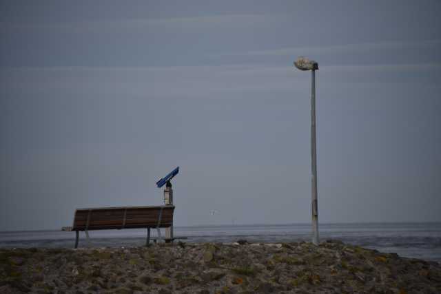 DSC_7404.JPG