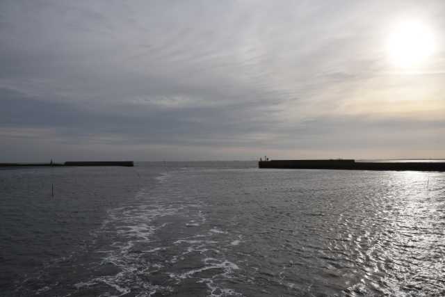 DSC_7444.JPG