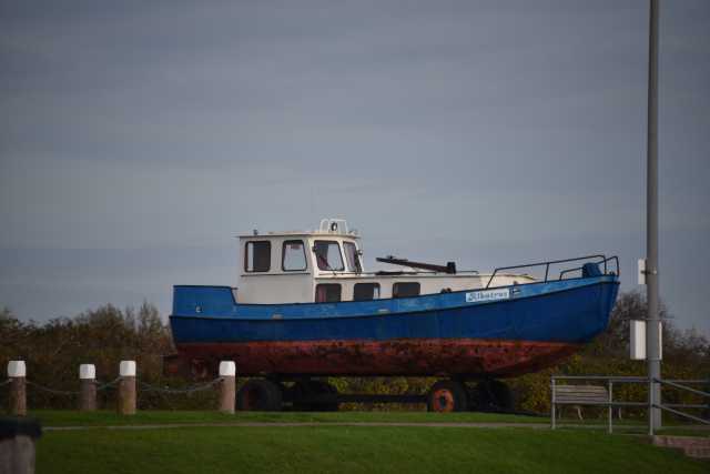 DSC_7450.JPG