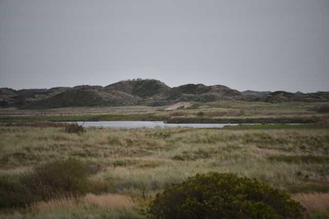 DSC_7467.JPG