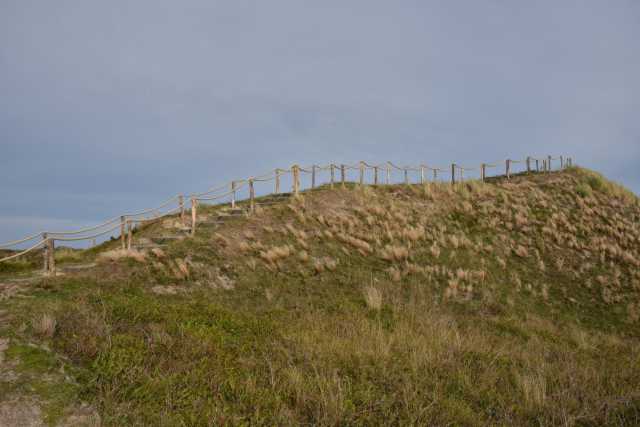 DSC_7482.JPG