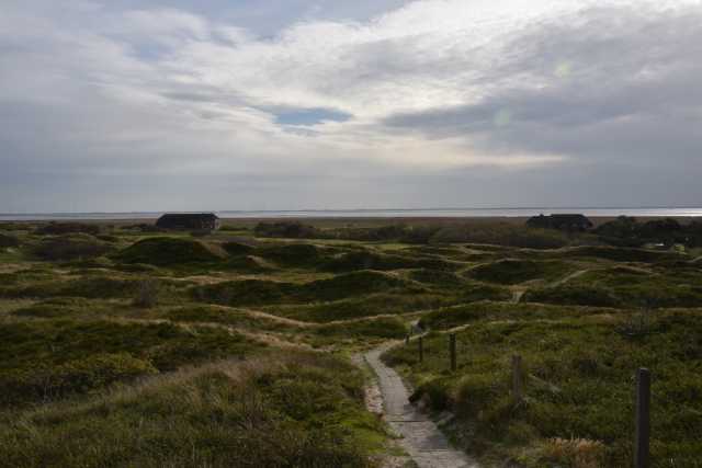 DSC_7483.JPG