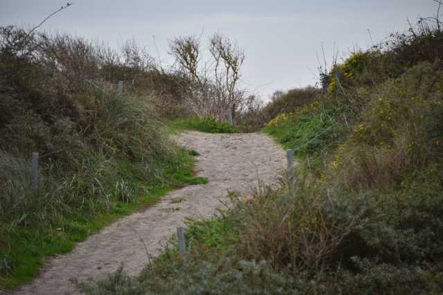 DSC_7499.JPG