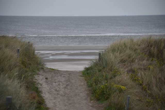 DSC_7503.JPG