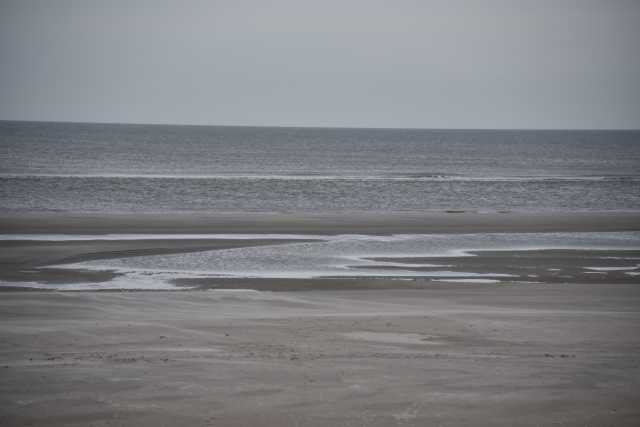 DSC_7507.JPG