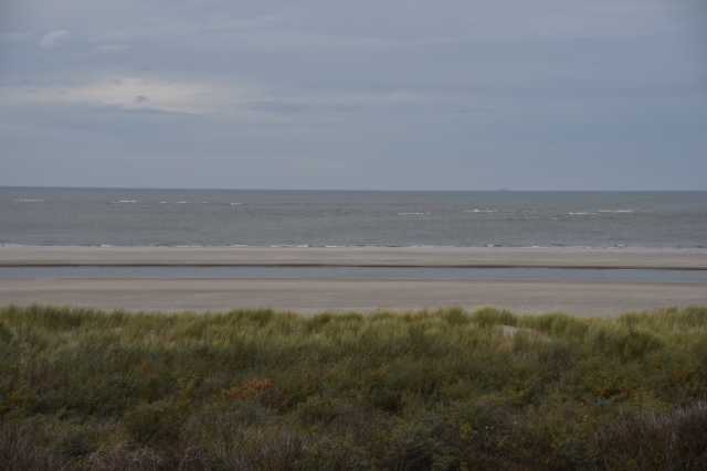 DSC_7535.JPG