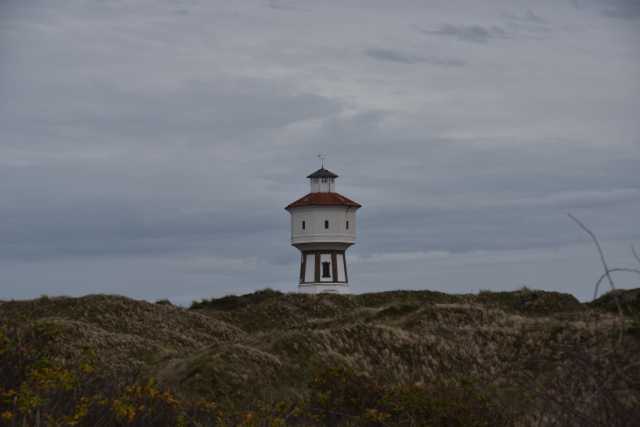 DSC_7544.JPG