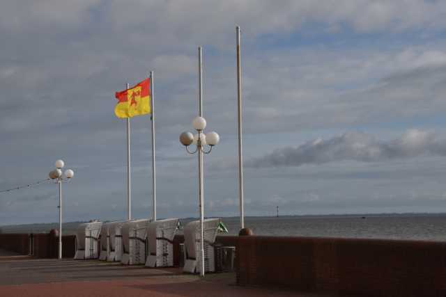 DSC_7570.JPG