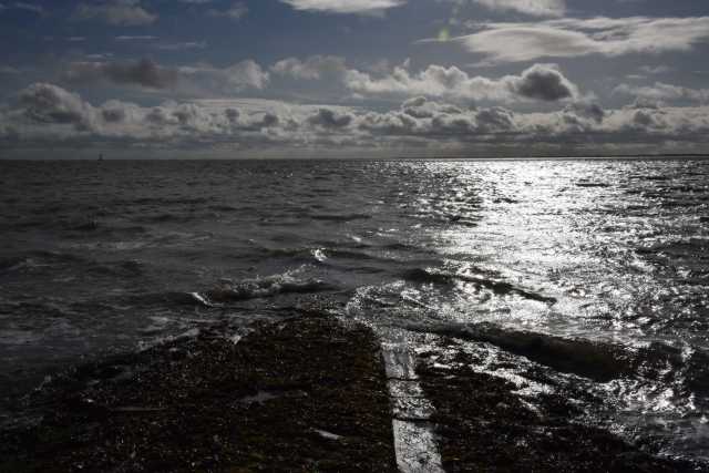DSC_7594.JPG