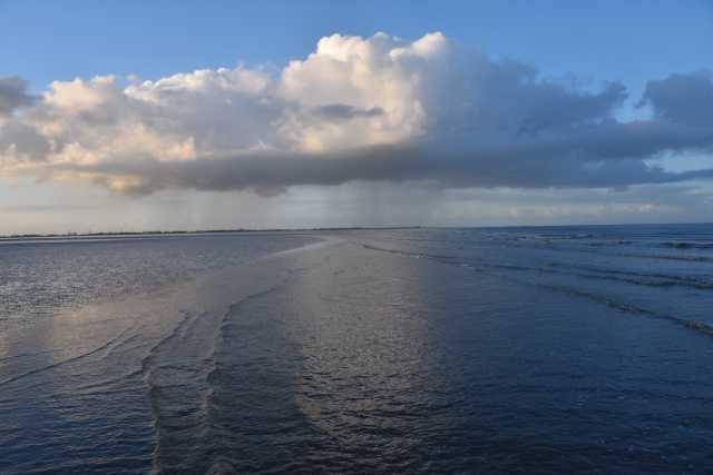 DSC_7653.JPG