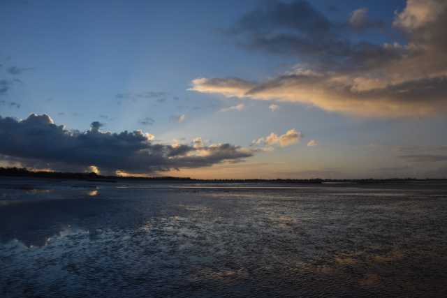 DSC_7663.JPG