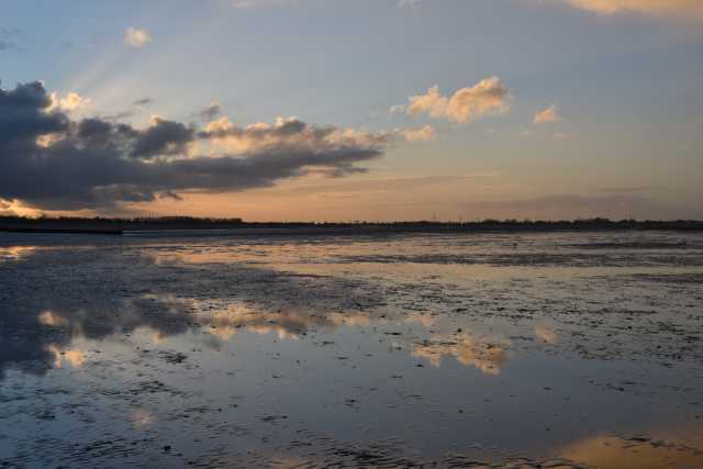 DSC_7664.JPG
