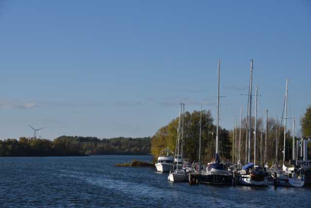 DSC_7687.JPG