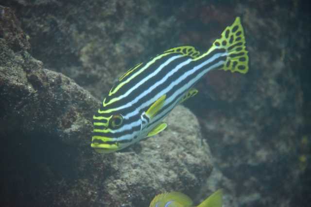 DSC_7892.JPG
