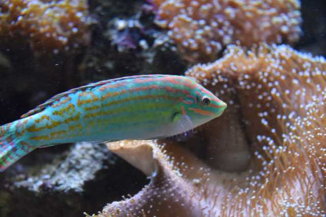 DSC_7969.JPG