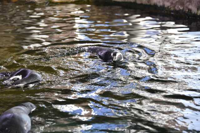 DSC_7993.JPG