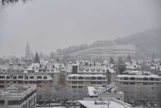 DSC_8056.JPG
