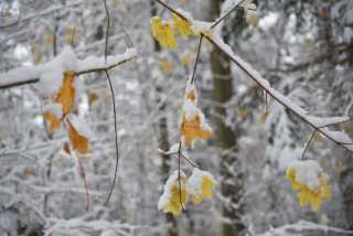 DSC_8066.JPG