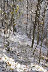DSC_8141.JPG