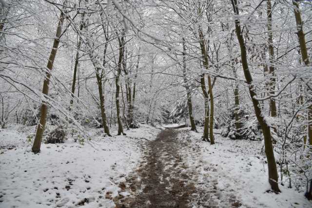DSC_8050.JPG