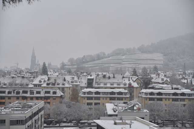 DSC_8056.JPG
