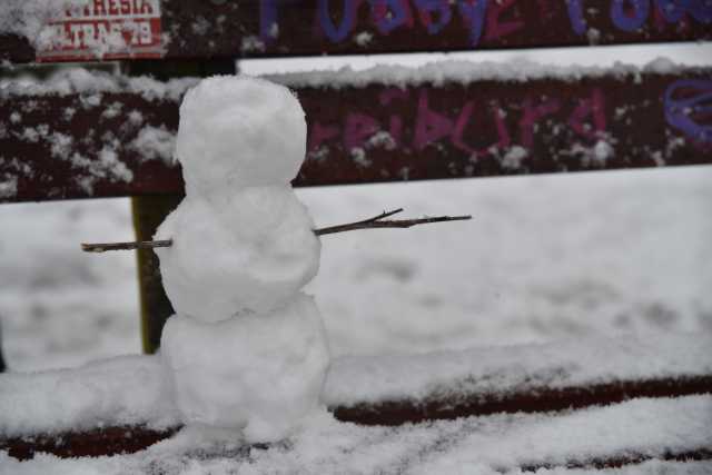 DSC_8061.JPG