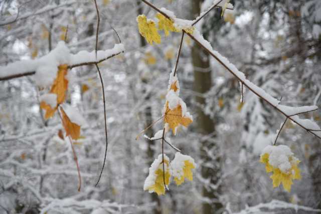 DSC_8066.JPG