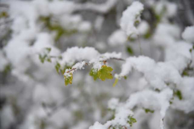 DSC_8074.JPG