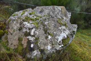 DSC_8187.JPG