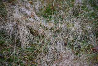DSC_8189.JPG