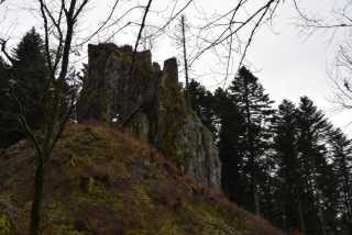 DSC_8192.JPG