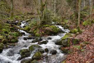 DSC_8212.JPG