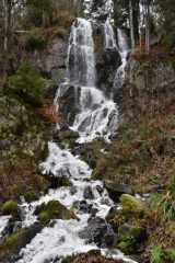 DSC_8217.JPG