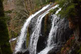 DSC_8225.JPG