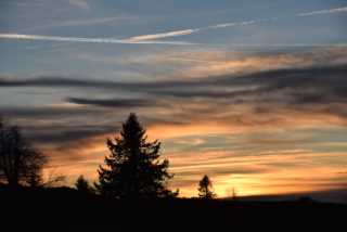 DSC_8306.JPG