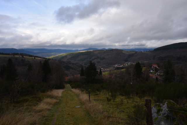 DSC_8188.JPG