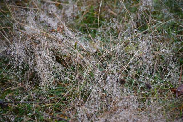 DSC_8189.JPG