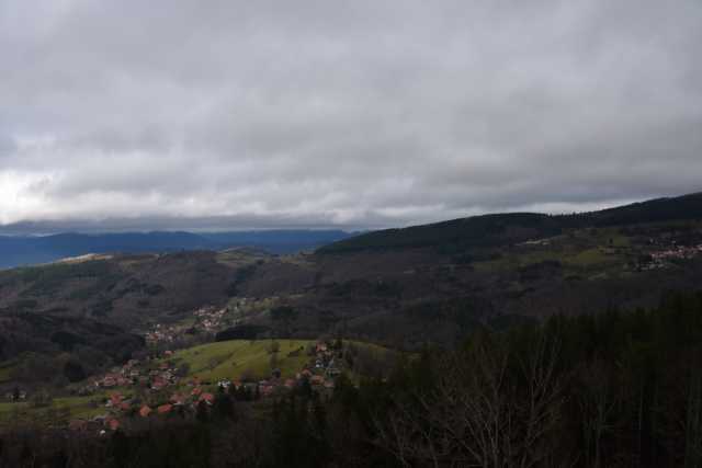 DSC_8194.JPG