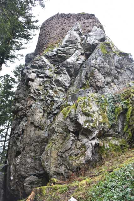 DSC_8200.JPG
