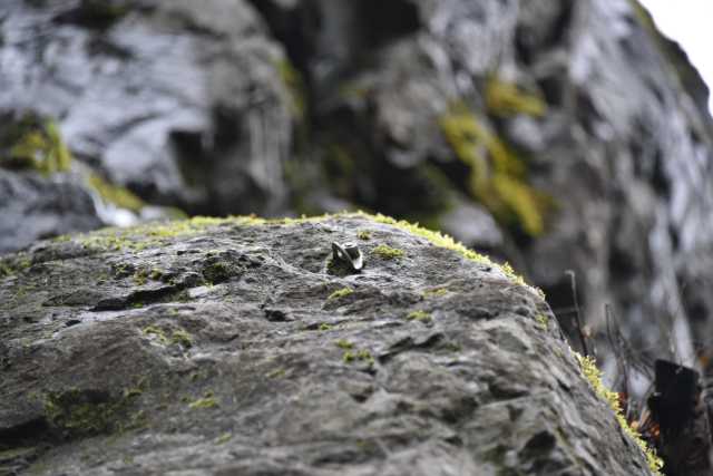 DSC_8208.JPG