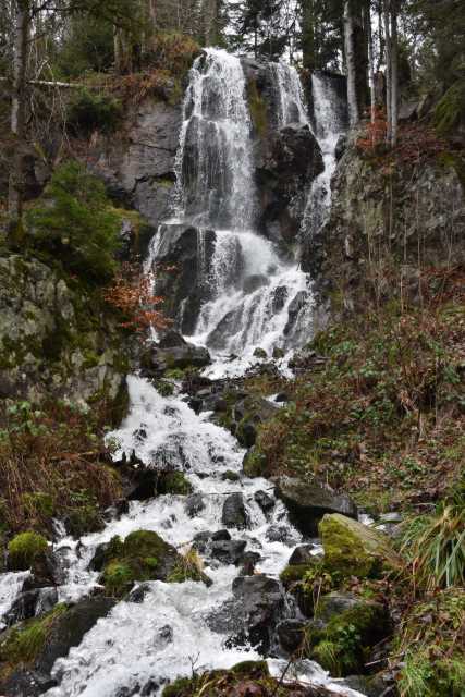 DSC_8217.JPG